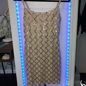 Nude Silver Bodycon Dress